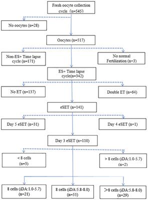 Can time-lapse culture combined with artificial intelligence improve ongoing pregnancy rates in fresh transfer cycles of single cleavage stage embryos?